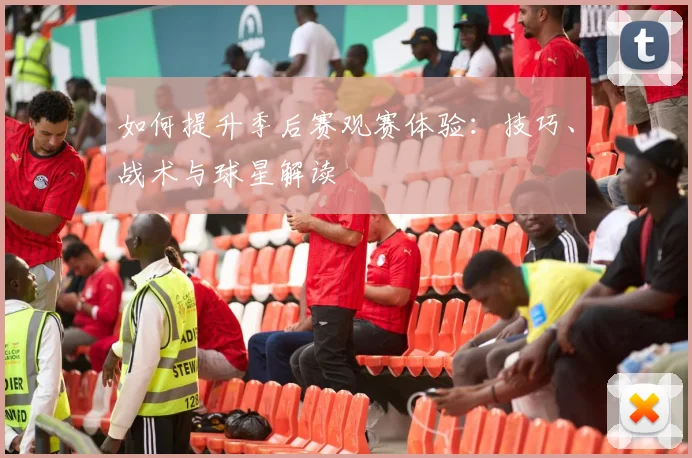 如何提升季后赛观赛体验：技巧、战术与球星解读